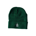 ICON BEANIE GREEN
