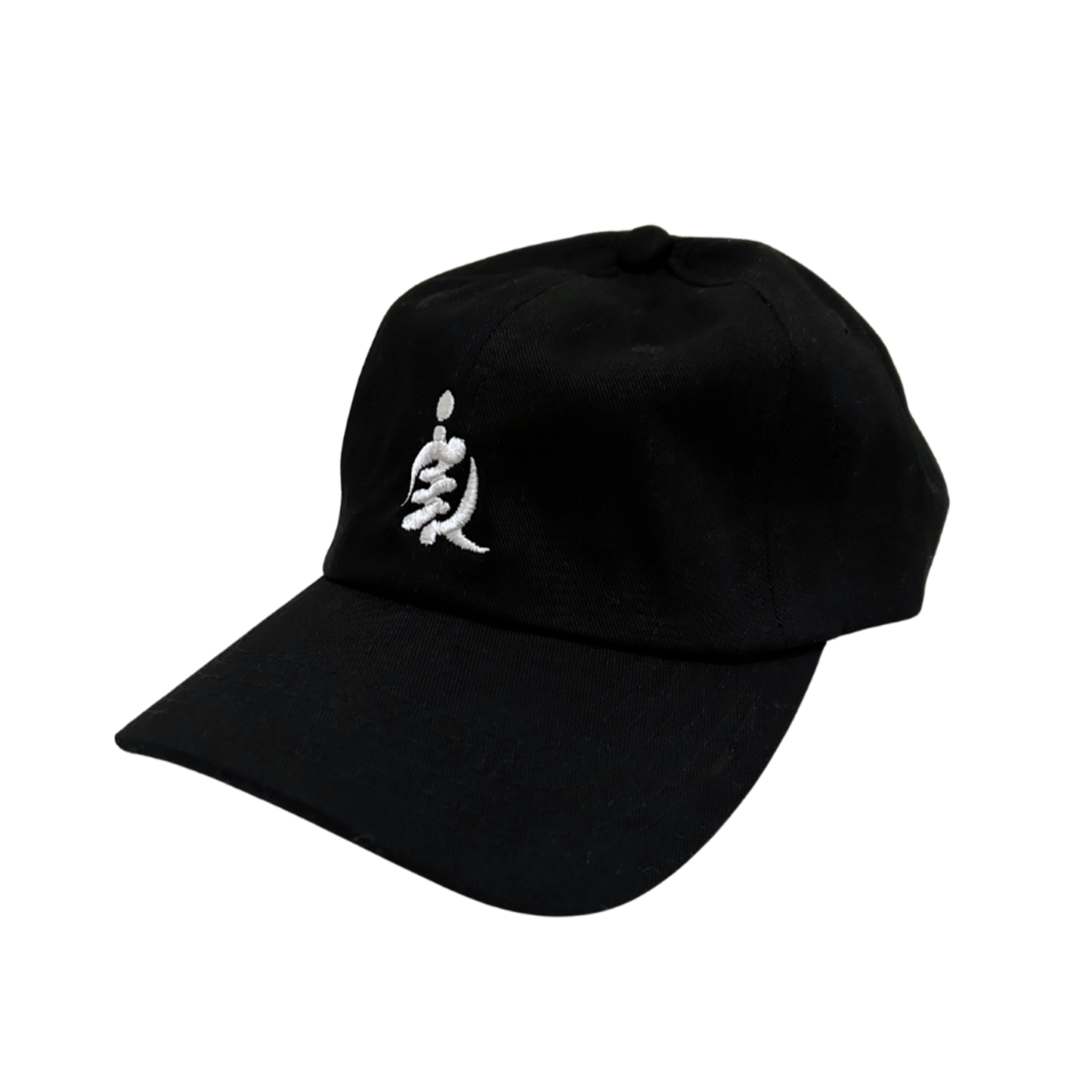 iREP iCON Dad Hat